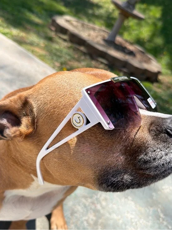 NWT True Religion Sunglasses in White with Purple Lenses - Picture 4 of 8